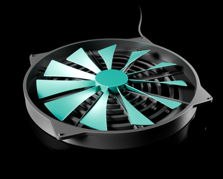 Best Woozoo Fan Model 2026: Which One Should You Buy?