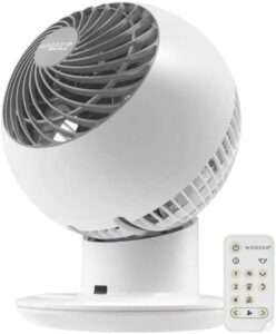 Globe Fan 2024